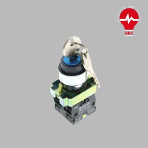 کلید یک طرفه سوئیچ دار کوینو NS22-K2-1A00B