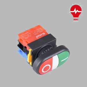 شستی دوبل چراغ دار 220V کوینو NS22-DM-L2AL1A1B