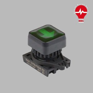 شستی استارت چراغ دار 220V آتونیکس S2PRS-P3GLAL